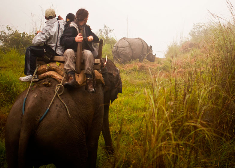 Chitwan-tour