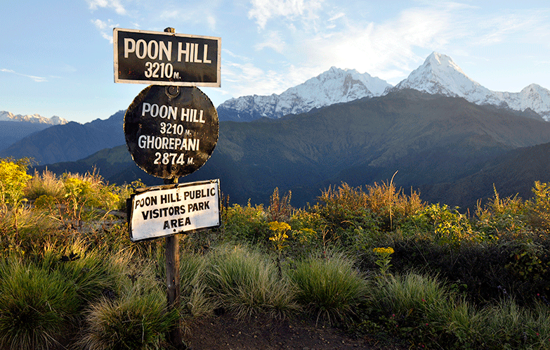 ghorepani pooon hill trek