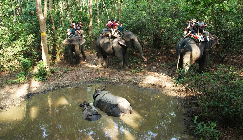 chitwan national park tour