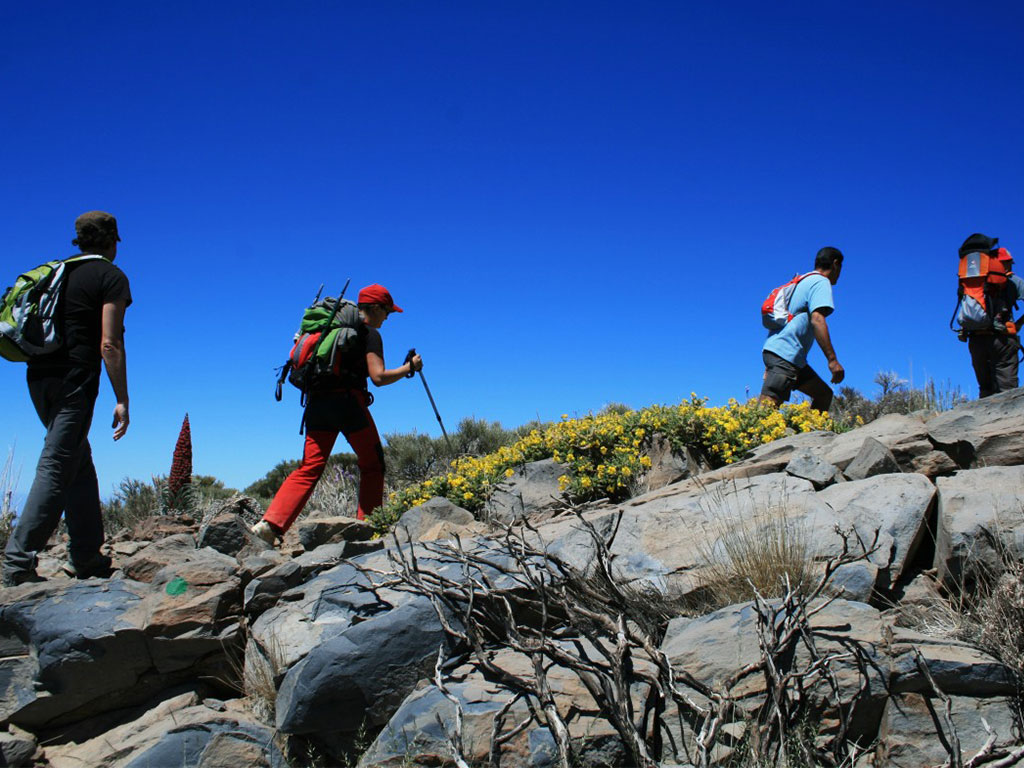 langtang valley trek in may