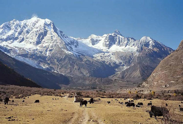 manaslu trek without a guide