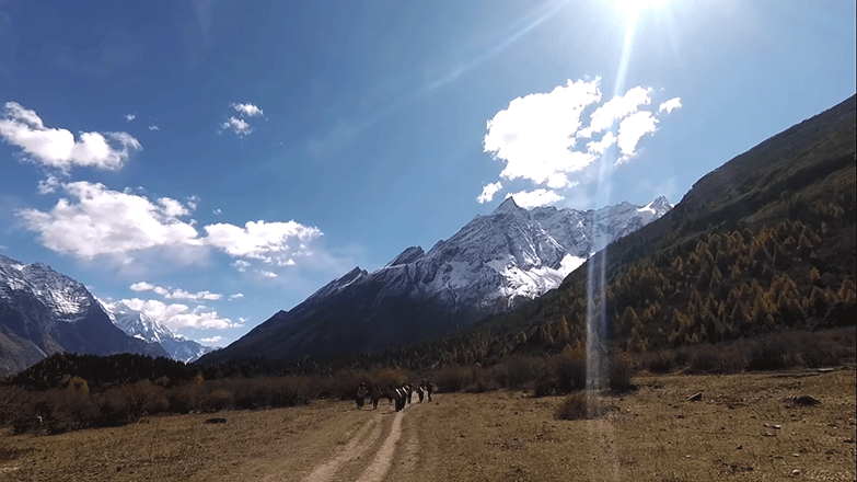 manaslu base camp trek