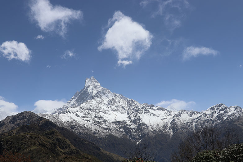 mardi himal