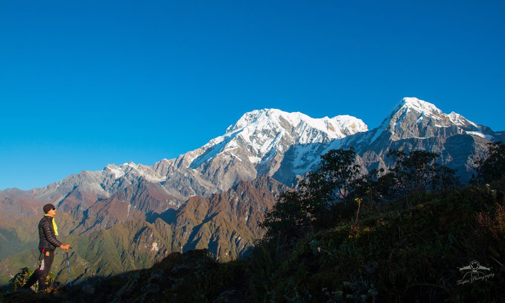 mardi himal trek 