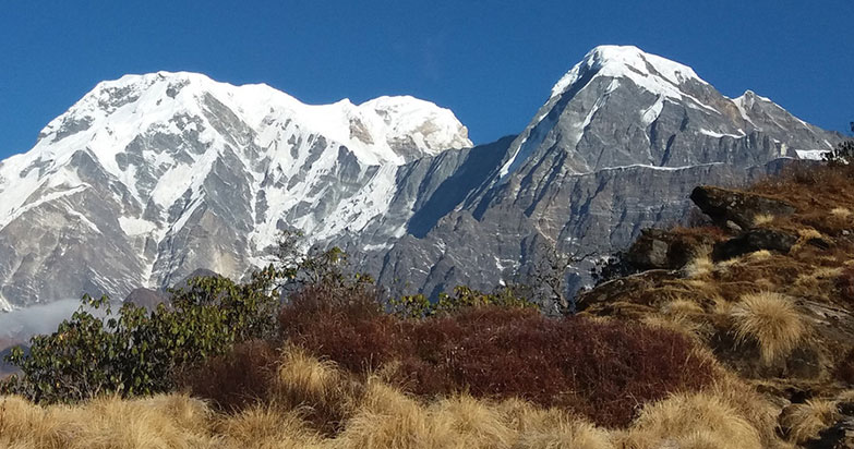 mardi himal base camp trek