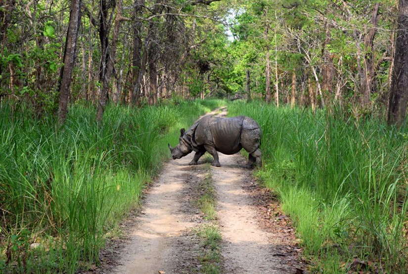 chitwan national park tour