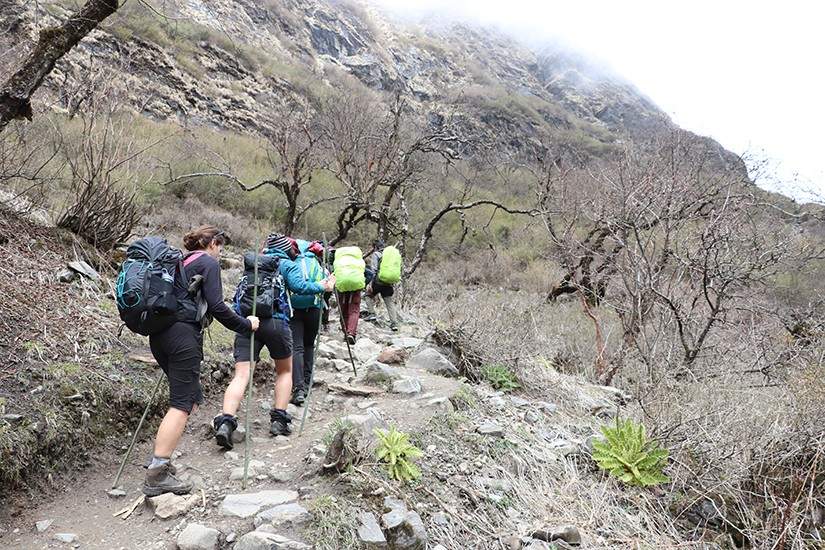 trekking in nepal