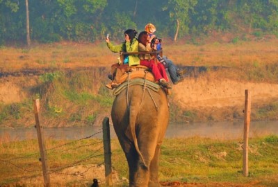 chitwan national park