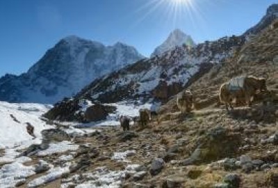 Everest Base Camp Trek in Autumn