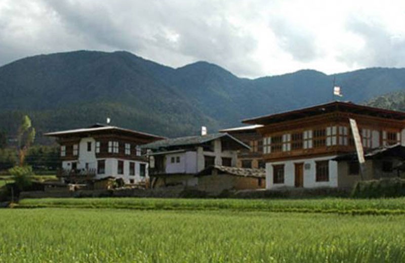 Glimpse of Bhutan Tour