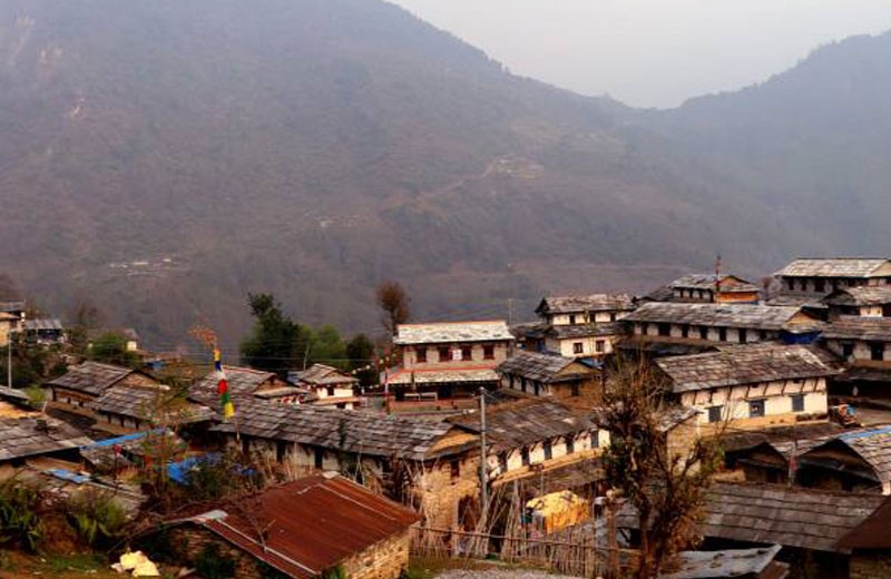 Ghorepani Poon Hill Trek