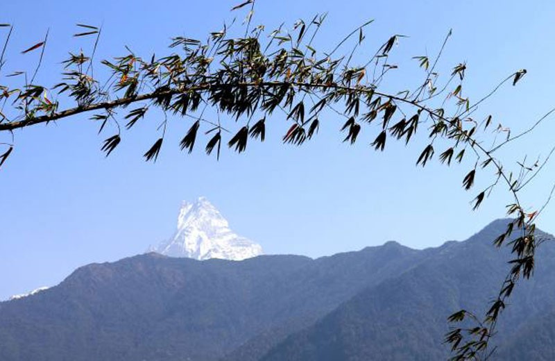 Mohare Danda Trek