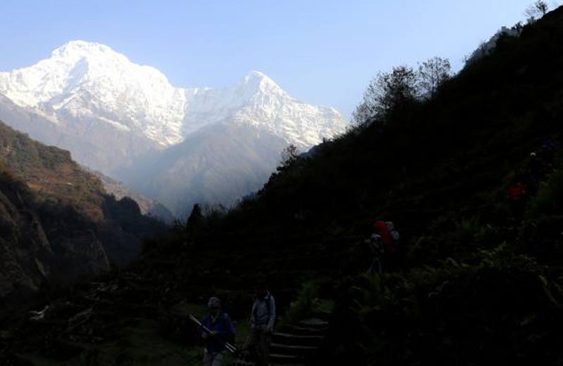 Mohare Danda Trek