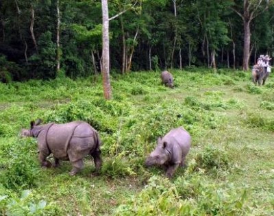 Bardia Jungle Safari