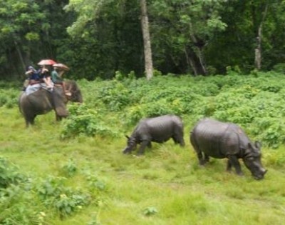 Chitwan Jungle Safari