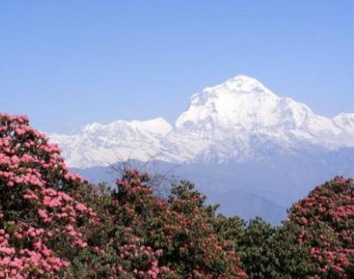 Dhaulagiri Expedition