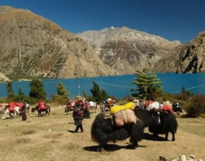 Upper Dolpo Trekking